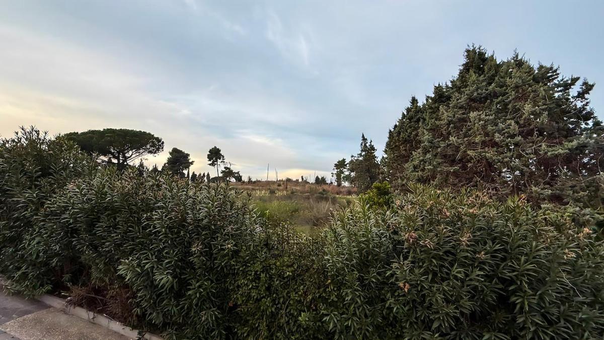 La Dimora Del Cavaliere - Stupenda Dimora A 5 Min Dal Lago Di Martignano Ангуилара Сабация Екстериор снимка